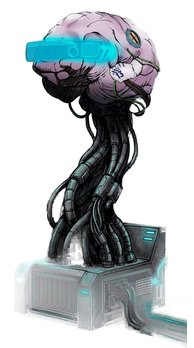 Brain